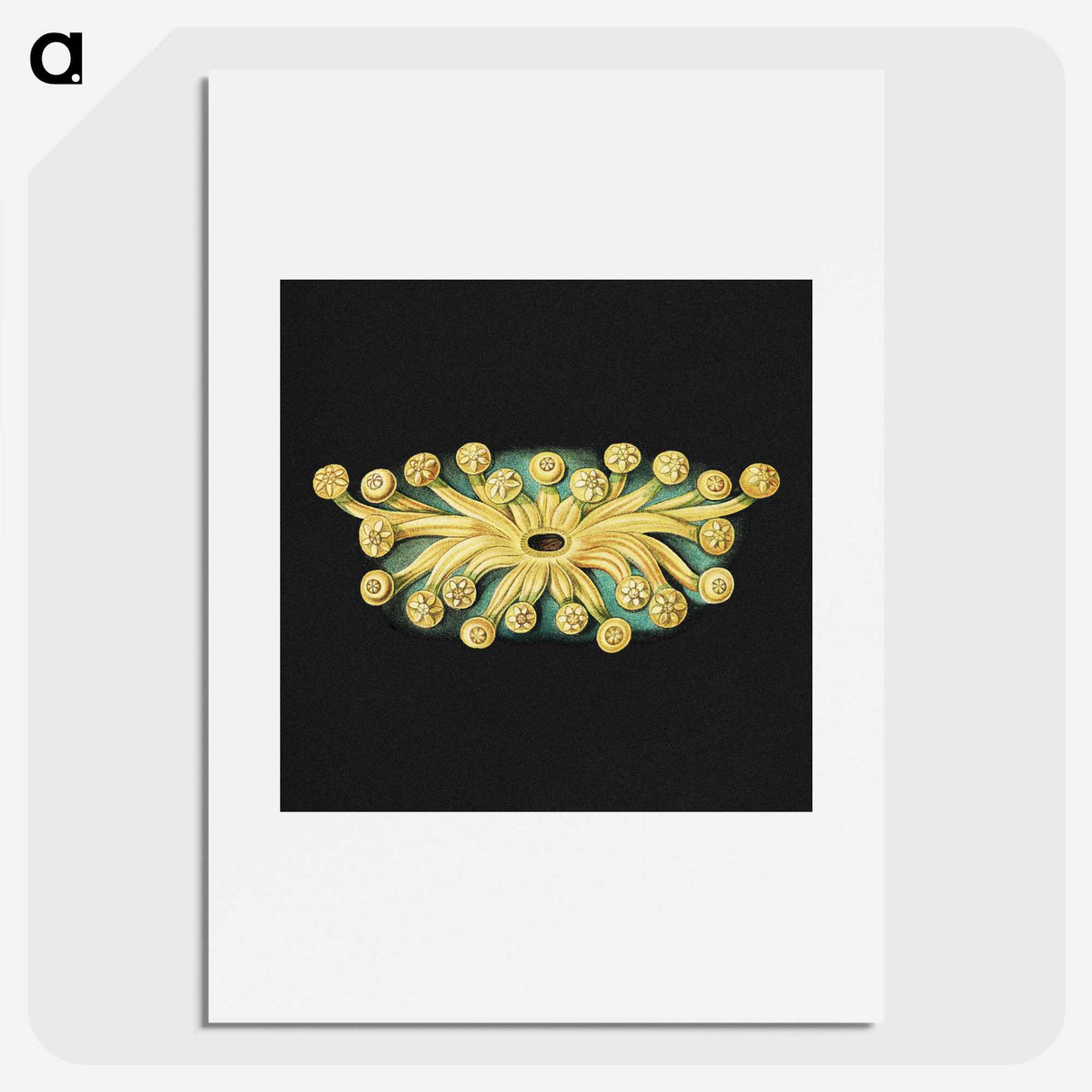3-17_Ernst-Haeckel_picture