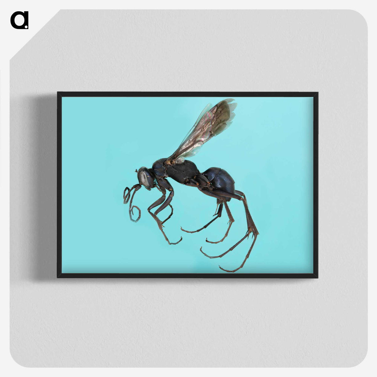 3-17_Insects-Unlocked-Project_blk-crop