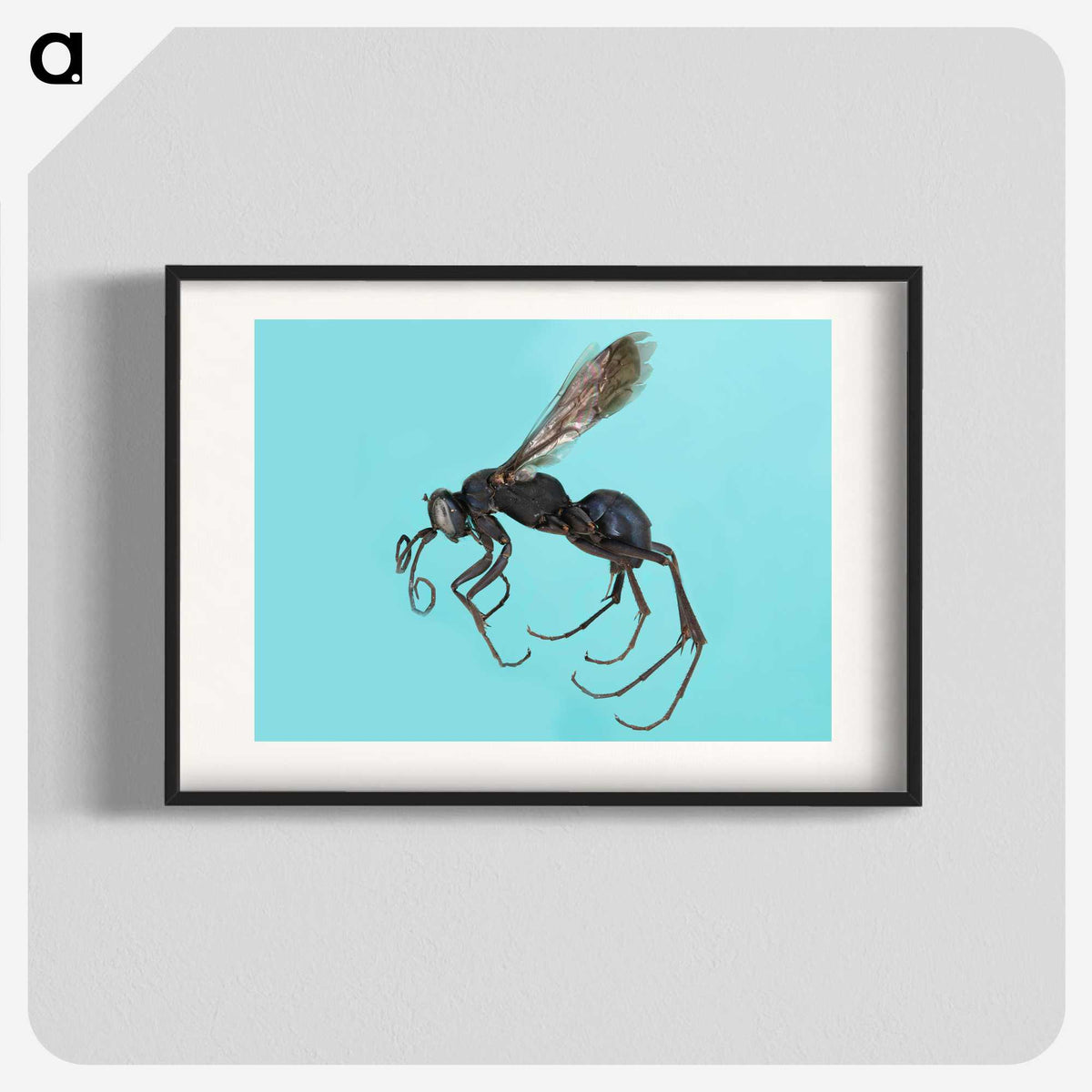 3-17_Insects-Unlocked-Project_blk