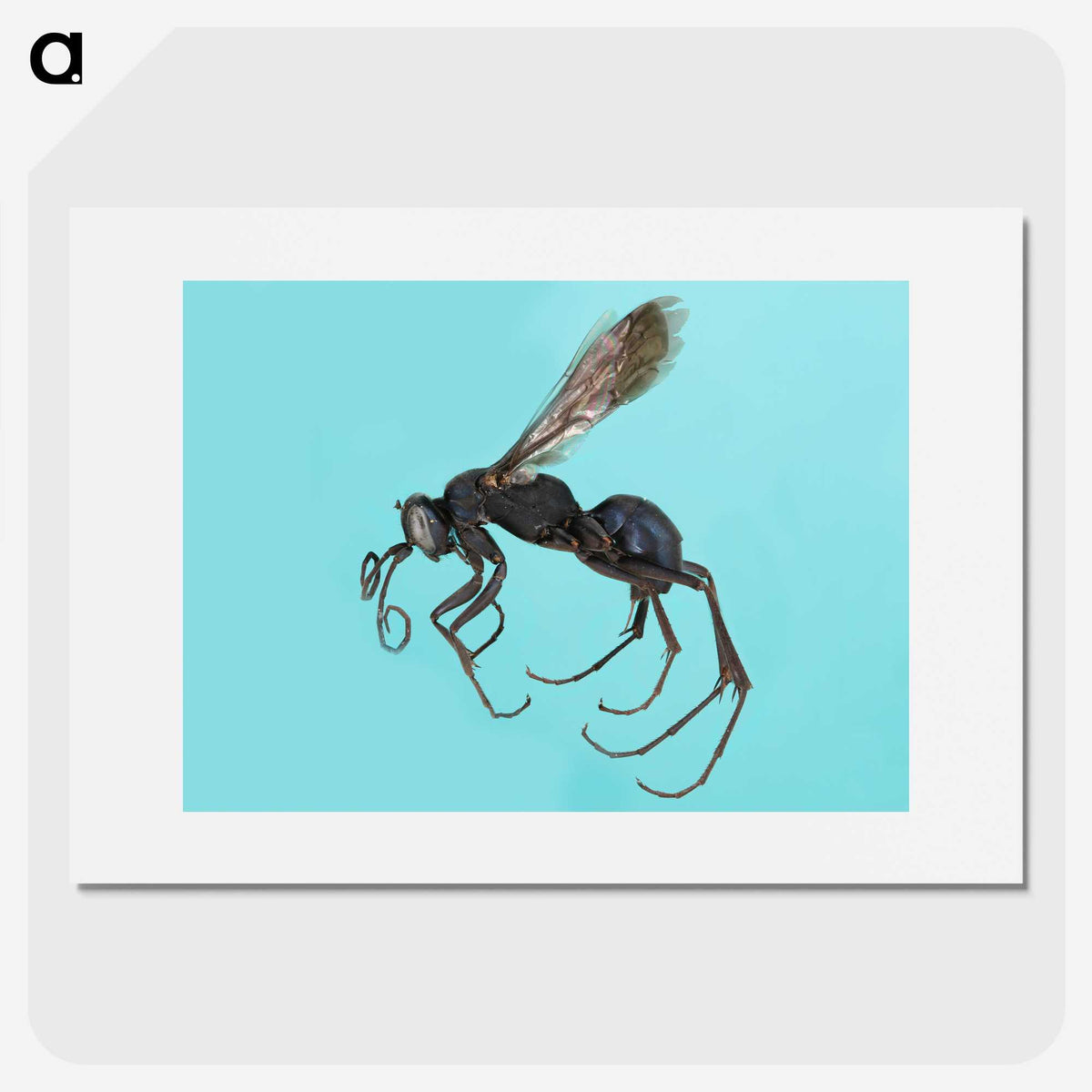 3-17_Insects-Unlocked-Project_picture