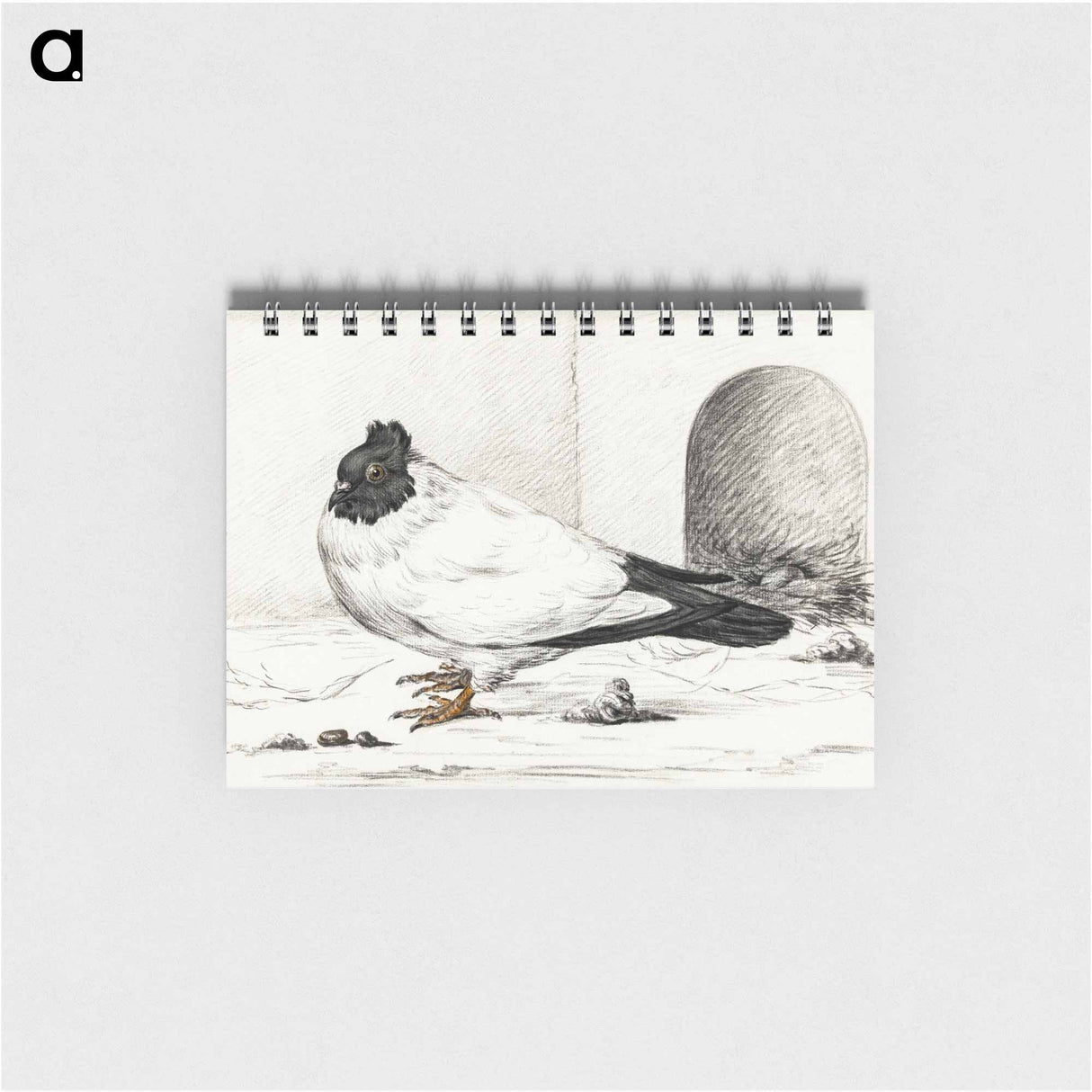 Pigeon and a nest with an egg - ジャン ベルナール Memo.