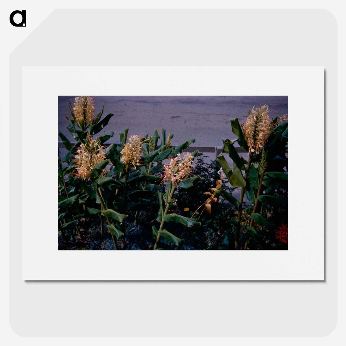 3-17_Leslie-Adkin_picture