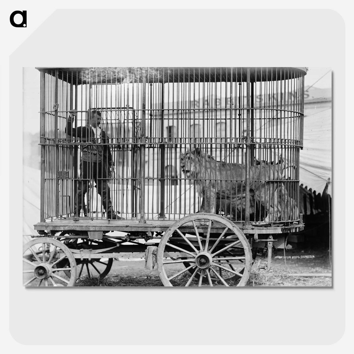 3-17_The-Burton-Brothers_picture-crop