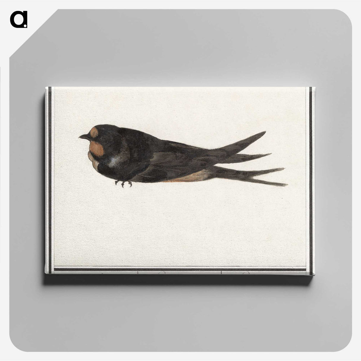 3-18_Anselmus-Boetius-de-Boodt_canvas
