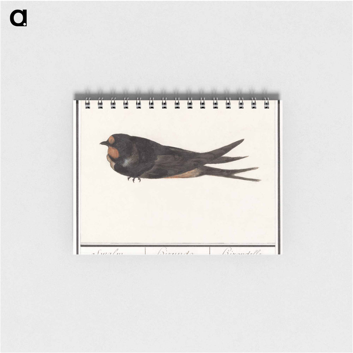 アートメモ帳-Barn Swallow - アンセルムス ボエティウス デ ブート Memo.