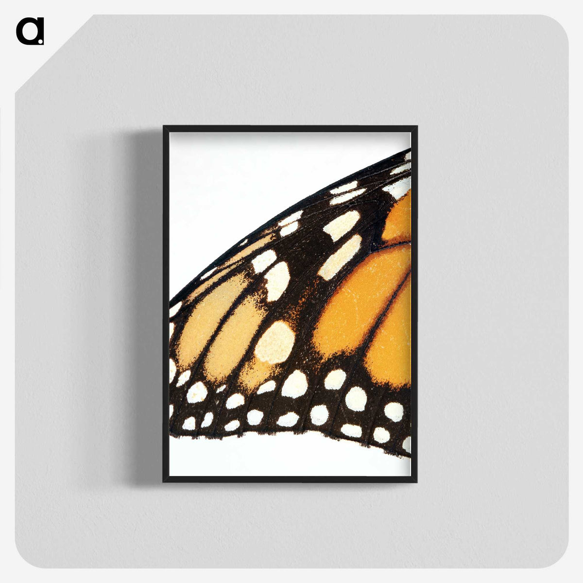 3-18_Insects-Unlocked-Project_blk-crop