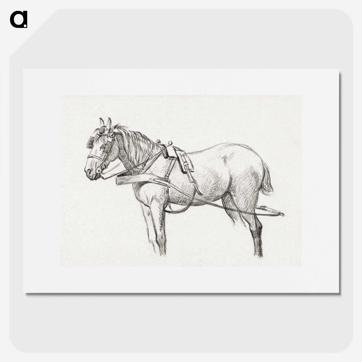 3-18_Jean-Bernard_picture