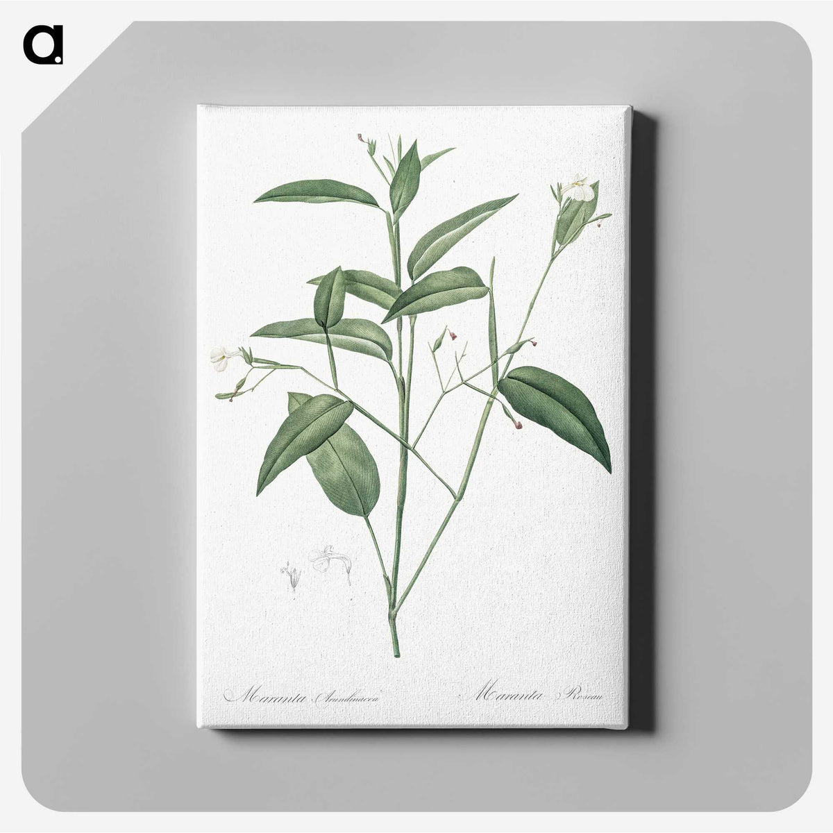 3-18_The-Lilies_canvas