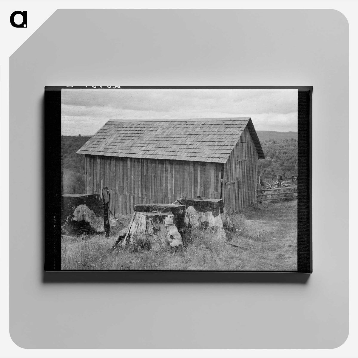 3-19_Dorothea-Lange_canvas