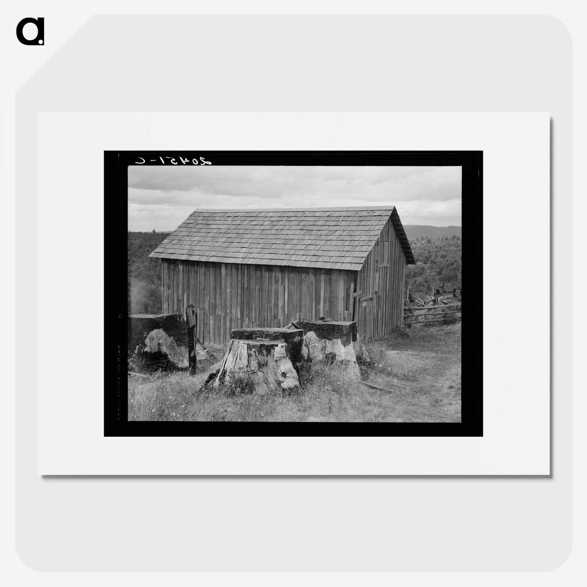 3-19_Dorothea-Lange_picture