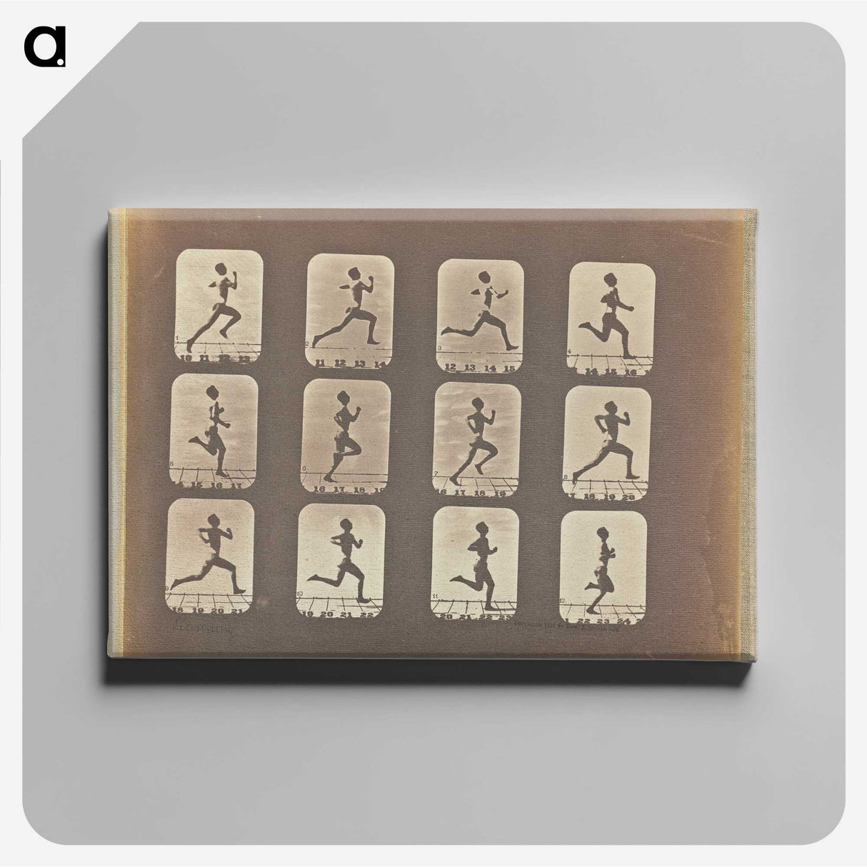 3-19_Eadweard-Muybridge_canvas