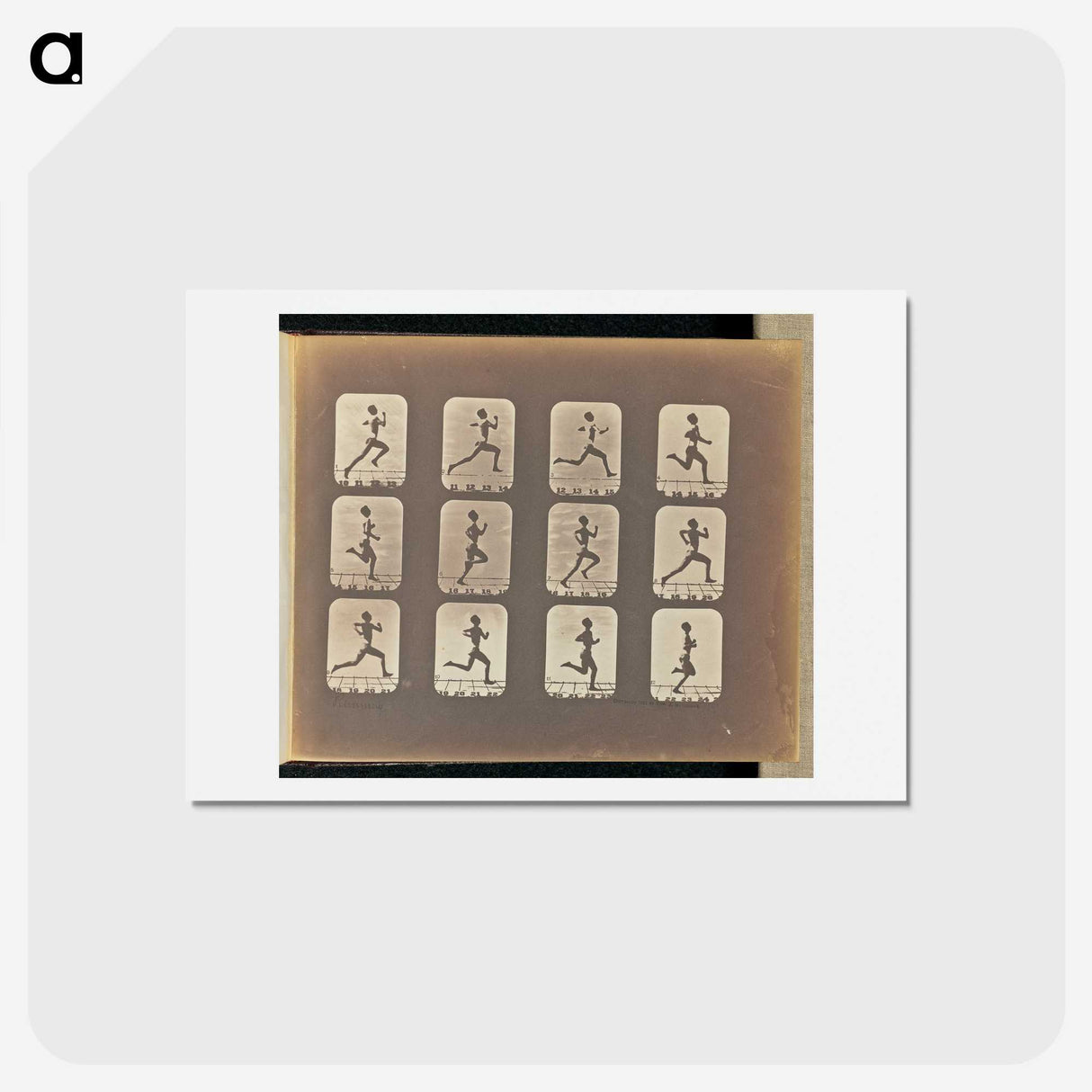 3-19_Eadweard-Muybridge_hagaki