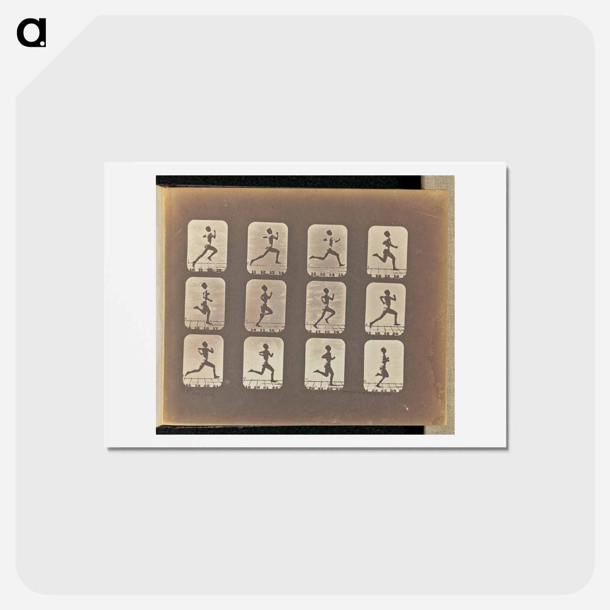 アートポストカード-Running
- エドワード マイブリッジ Postcard.