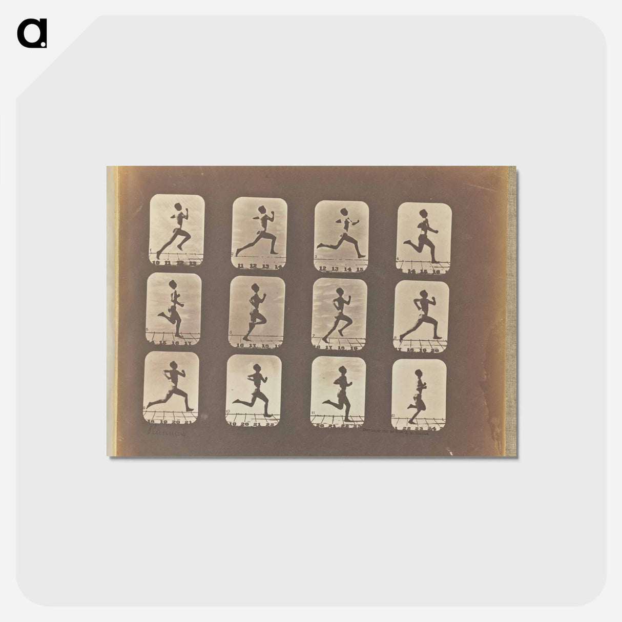 アートポストカード-Running
- エドワード マイブリッジ Postcard.