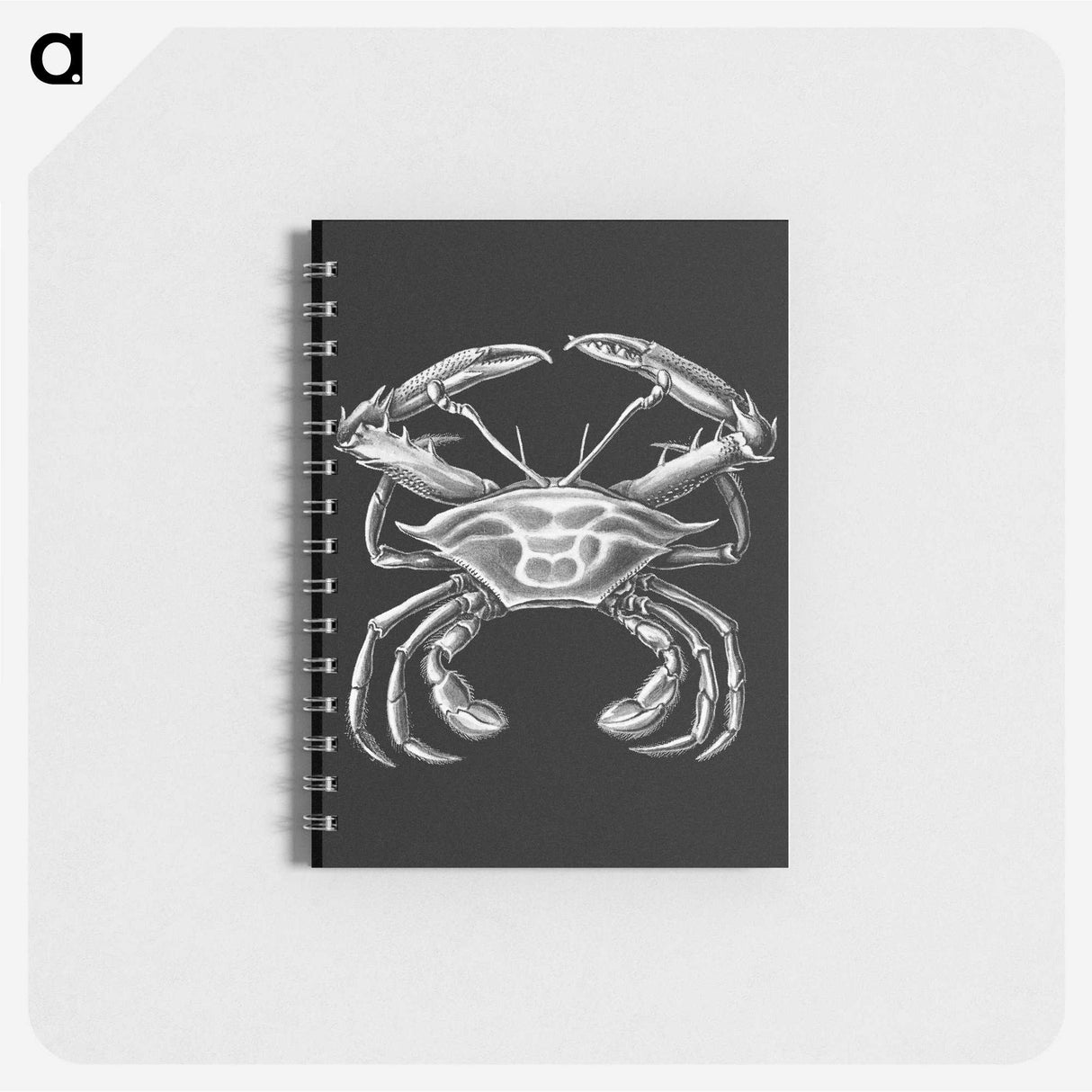 3-19_Ernst-Haeckel_memo