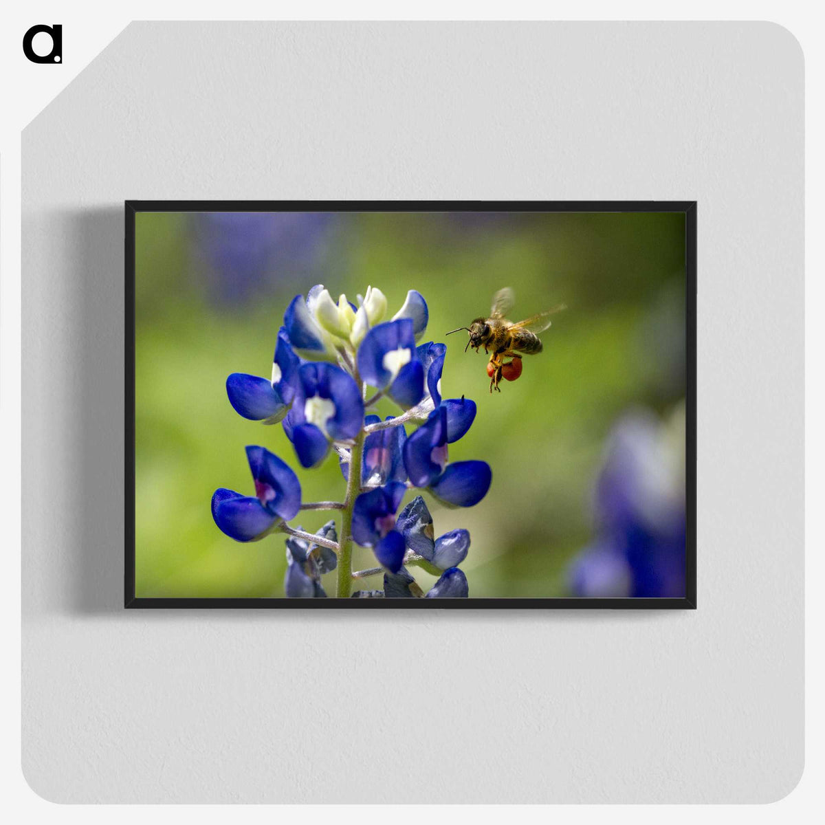 3-19_Insects-Unlocked-Project_blk-crop