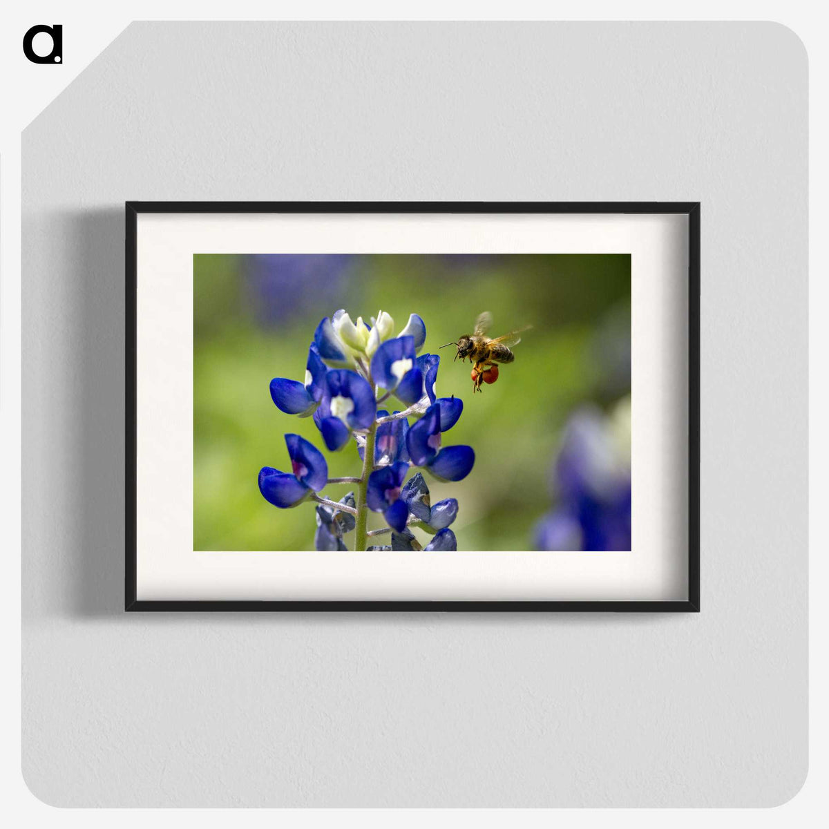 3-19_Insects-Unlocked-Project_blk