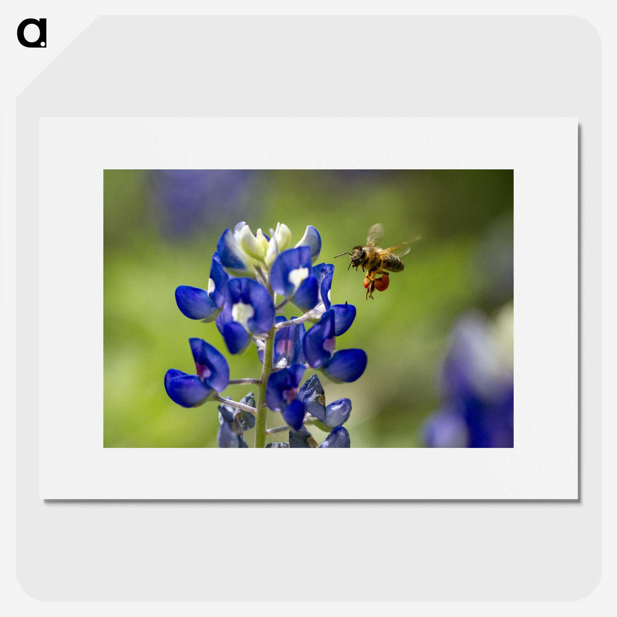 3-19_Insects-Unlocked-Project_picture