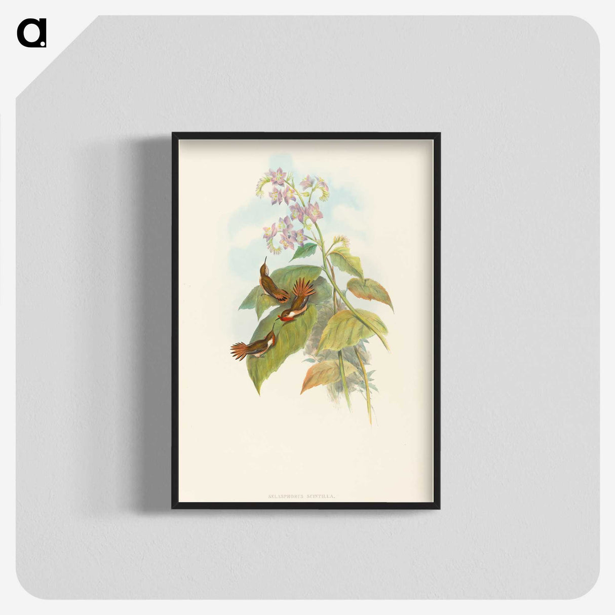 3-19_John-Gould_blk-crop
