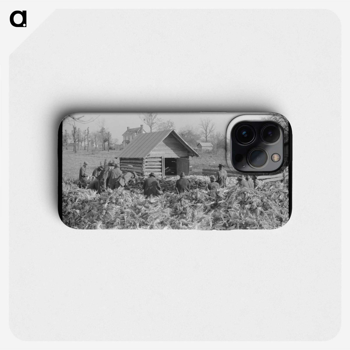 3-19_Marion-Post-Wolcott_phone