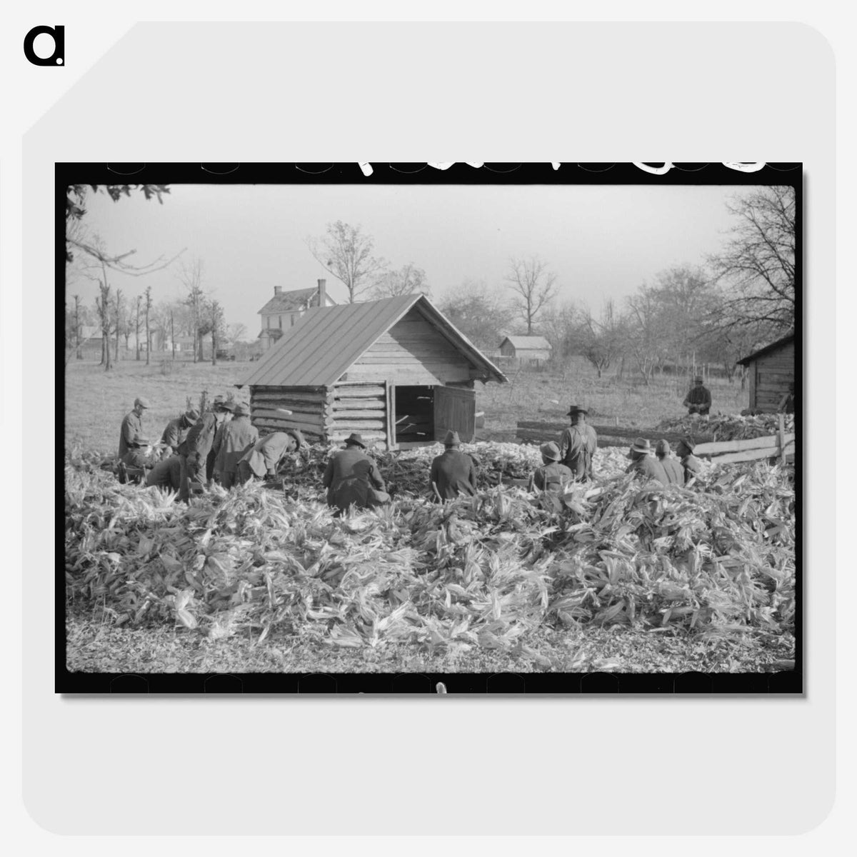 3-19_Marion-Post-Wolcott_picture-crop