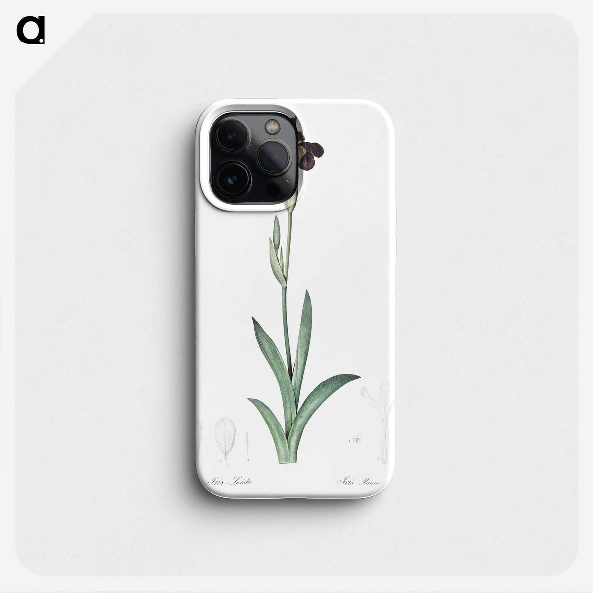 3-19_The-Lilies_phone