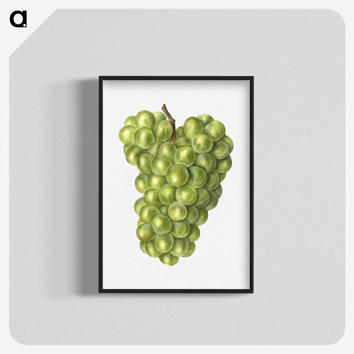 3-19_USDA-Watercolor-Fruit-Painting-Collection_blk-crop