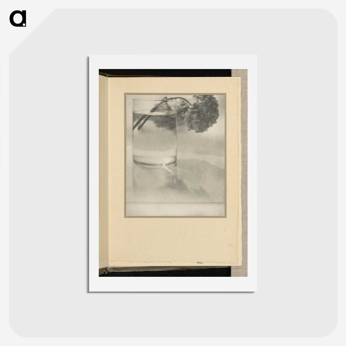 3-1_Alfred-Stieglitz_hagaki