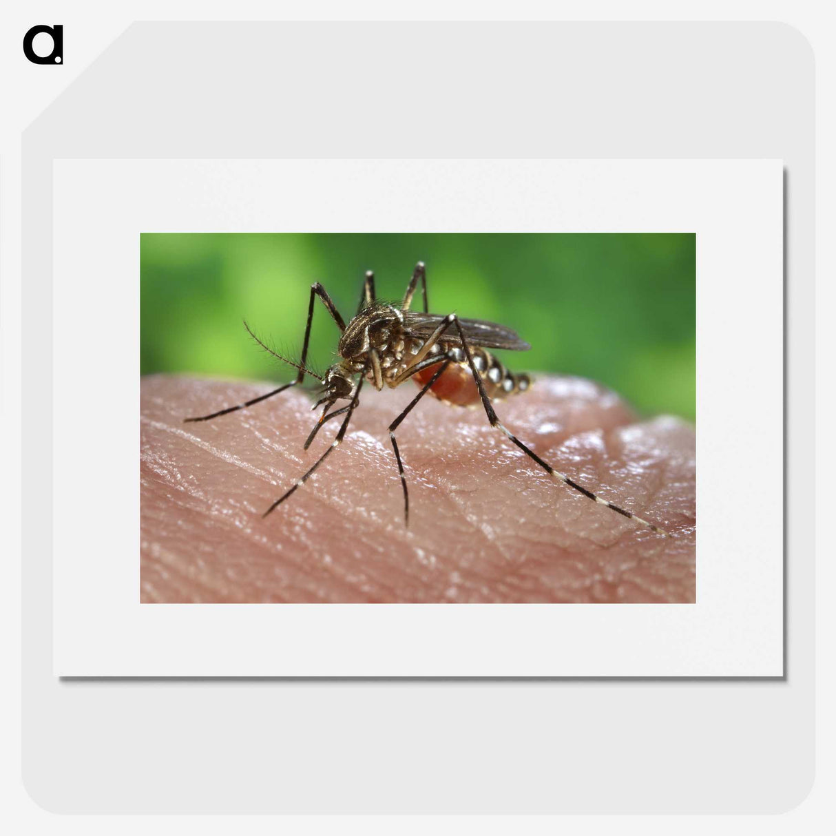 3-1_COVID-19_picture