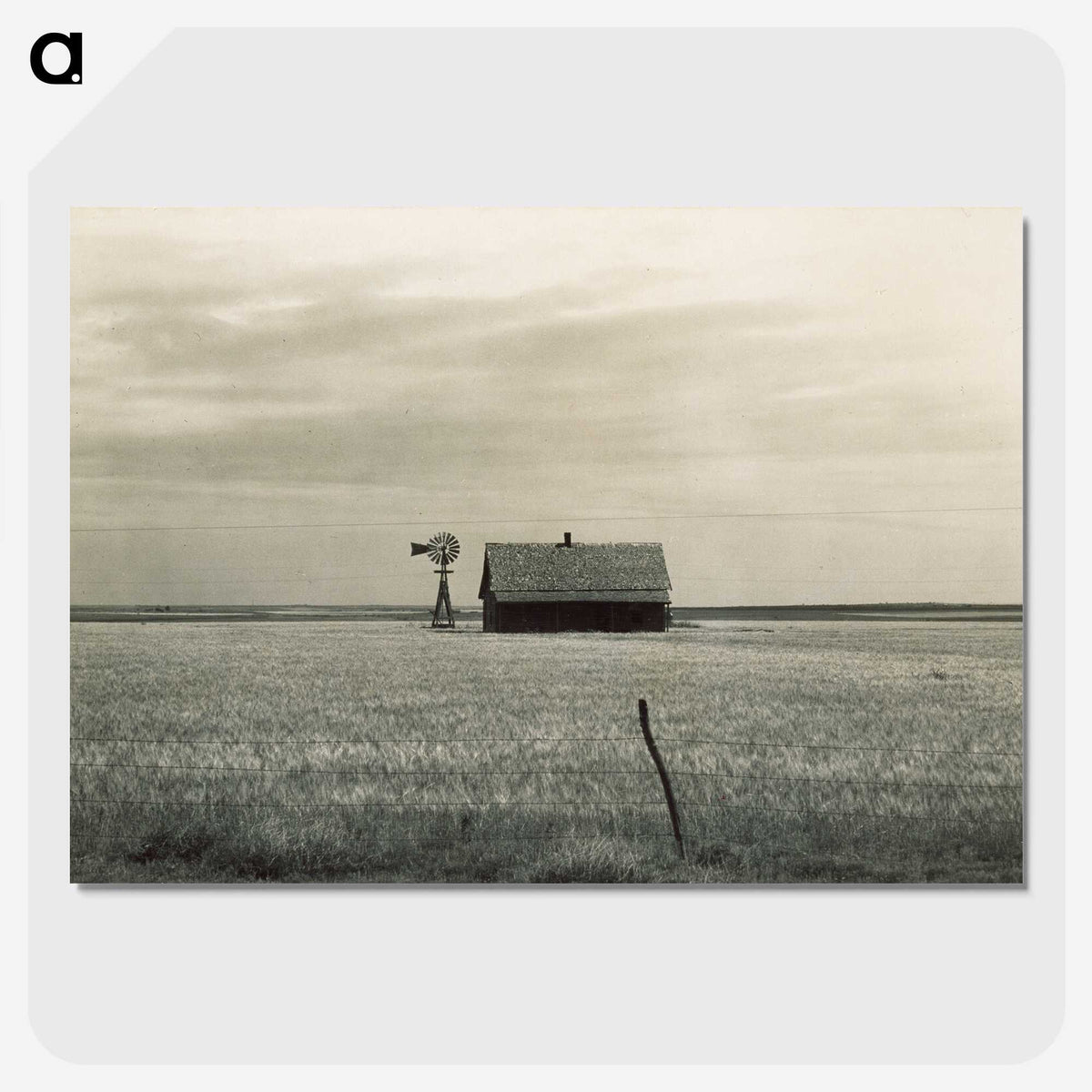 3-1_Dorothea-Lange_picture-crop