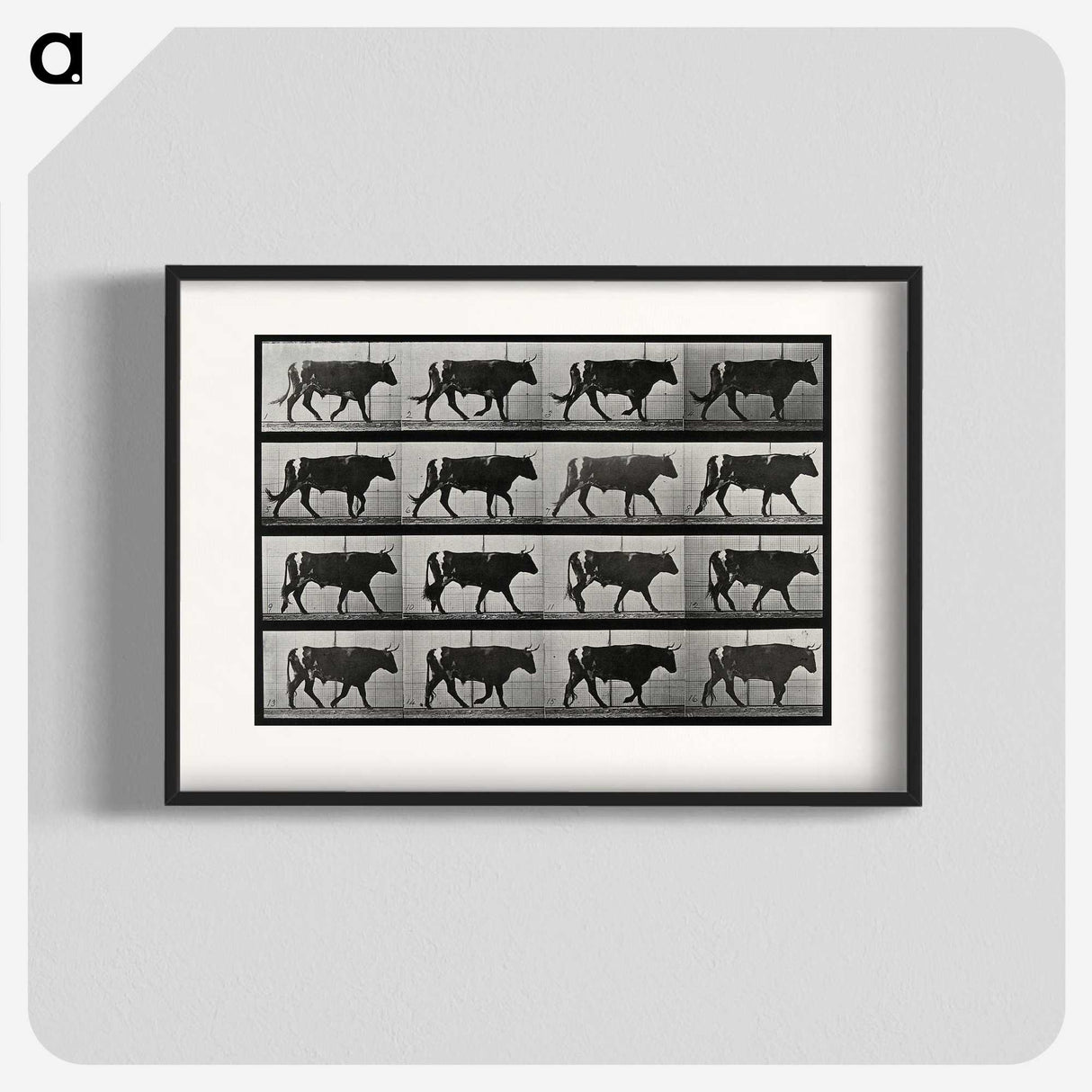 3-1_Eadweard-Muybridge_blk