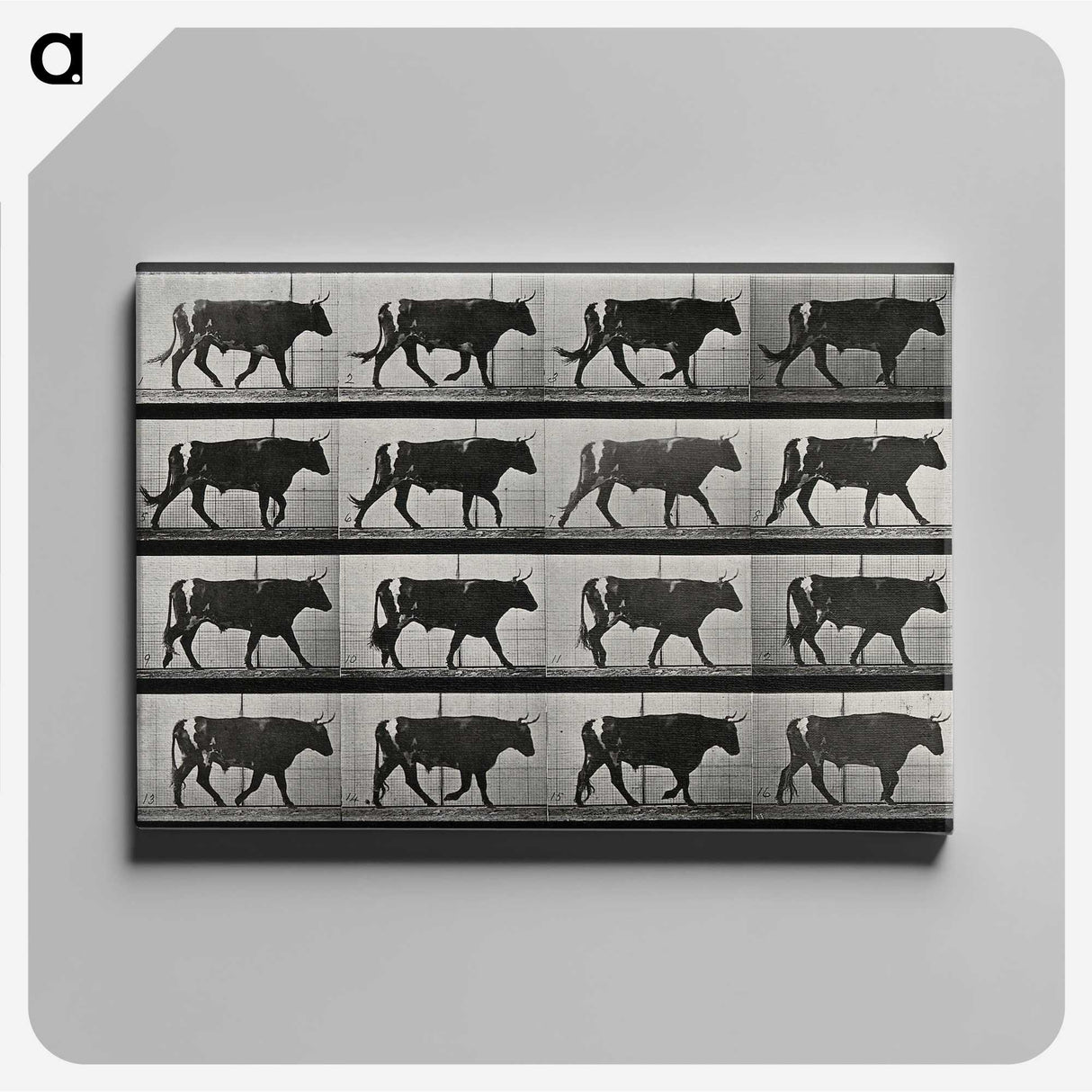3-1_Eadweard-Muybridge_canvas