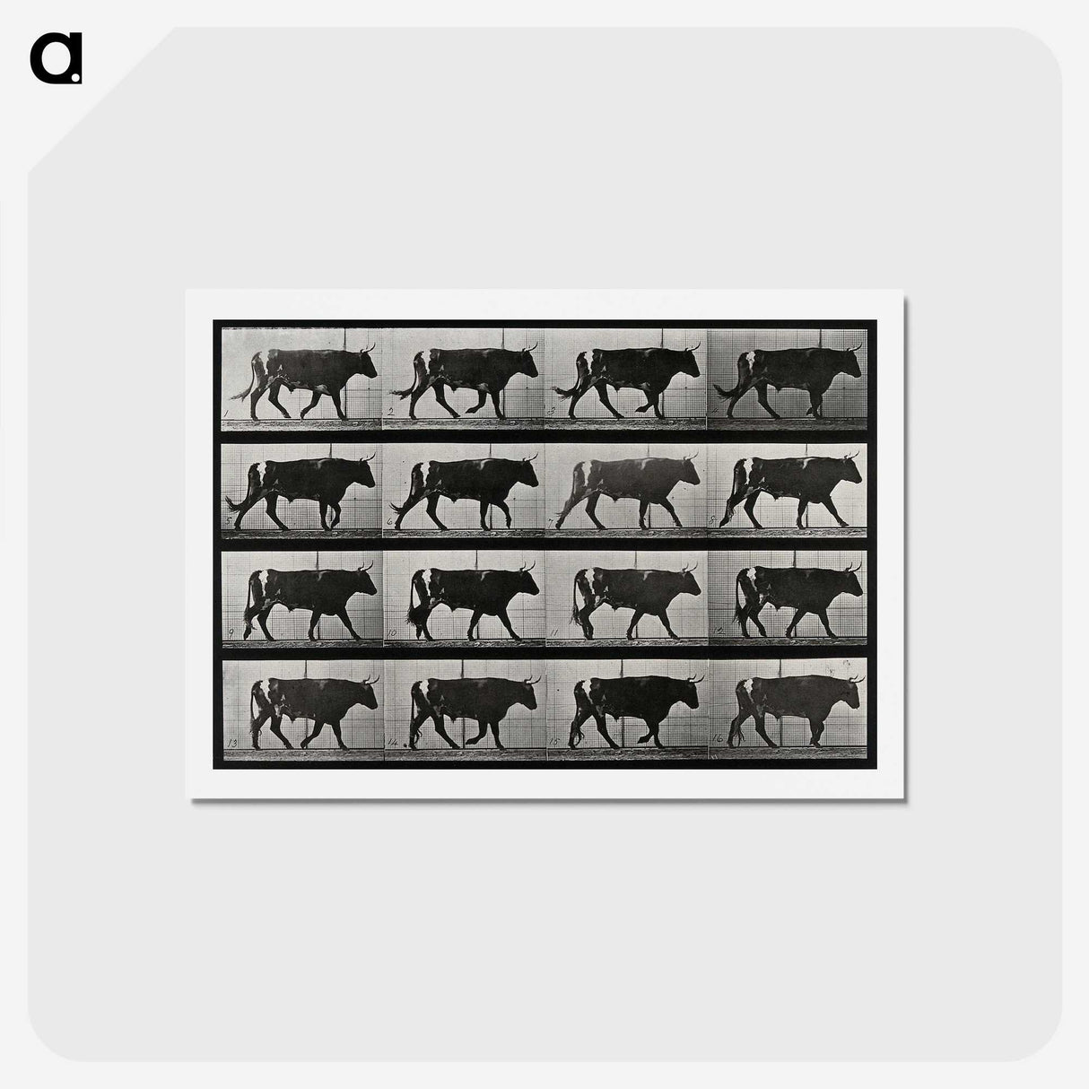 3-1_Eadweard-Muybridge_hagaki