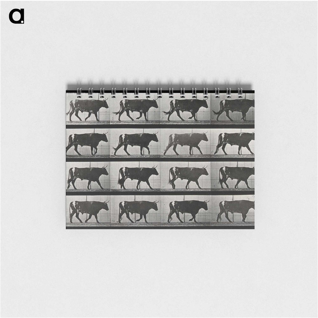 3-1_Eadweard-Muybridge_memo