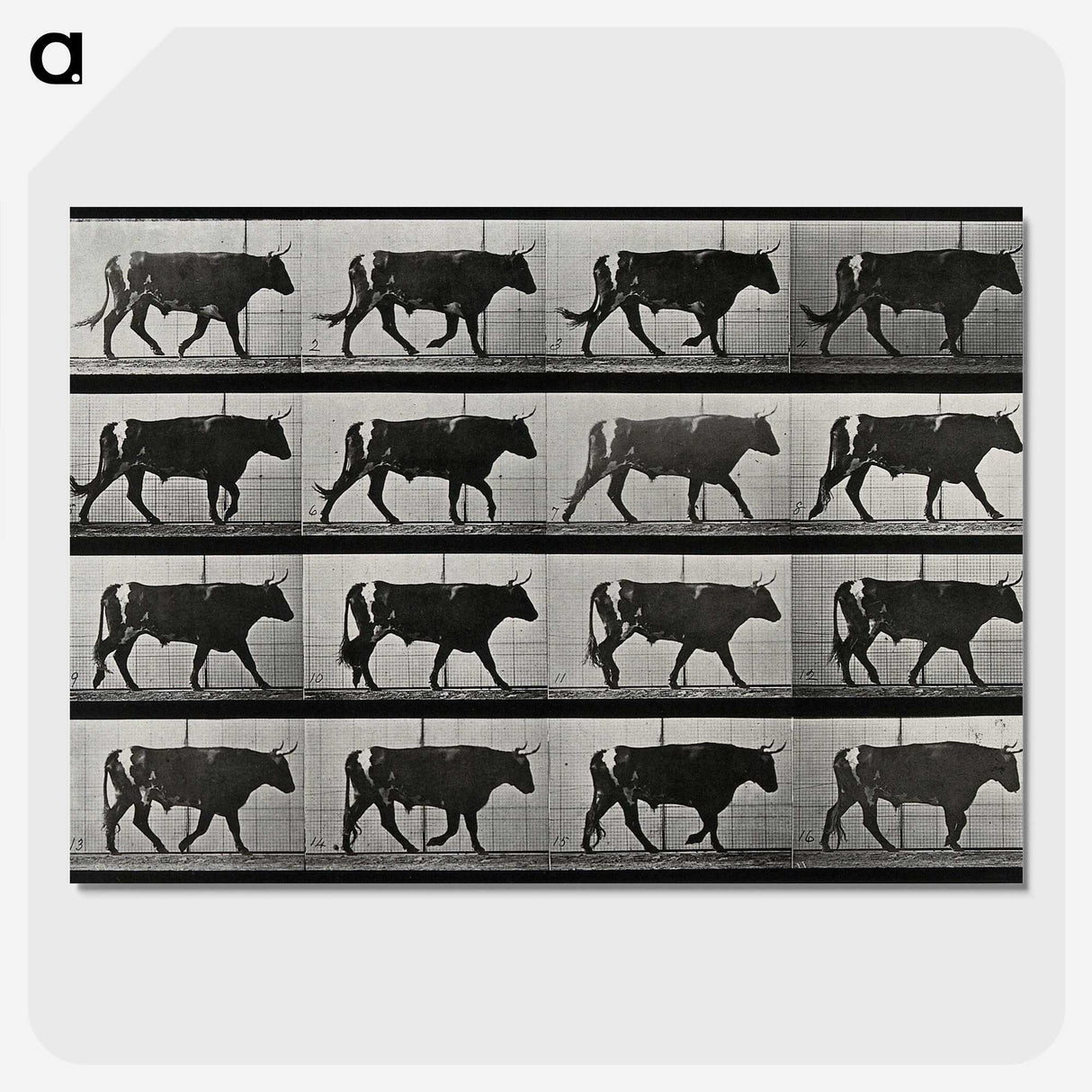 3-1_Eadweard-Muybridge_picture-crop