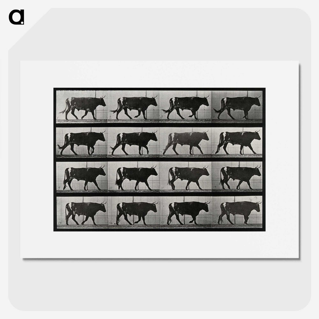 3-1_Eadweard-Muybridge_picture