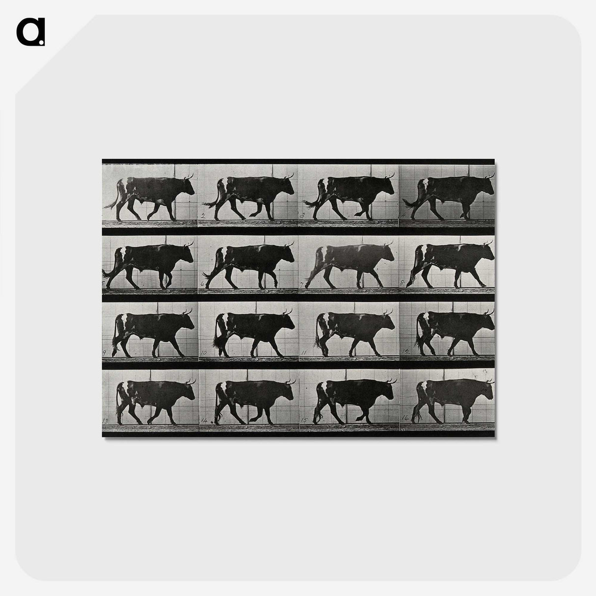 3-1_Eadweard-Muybridge_postcard