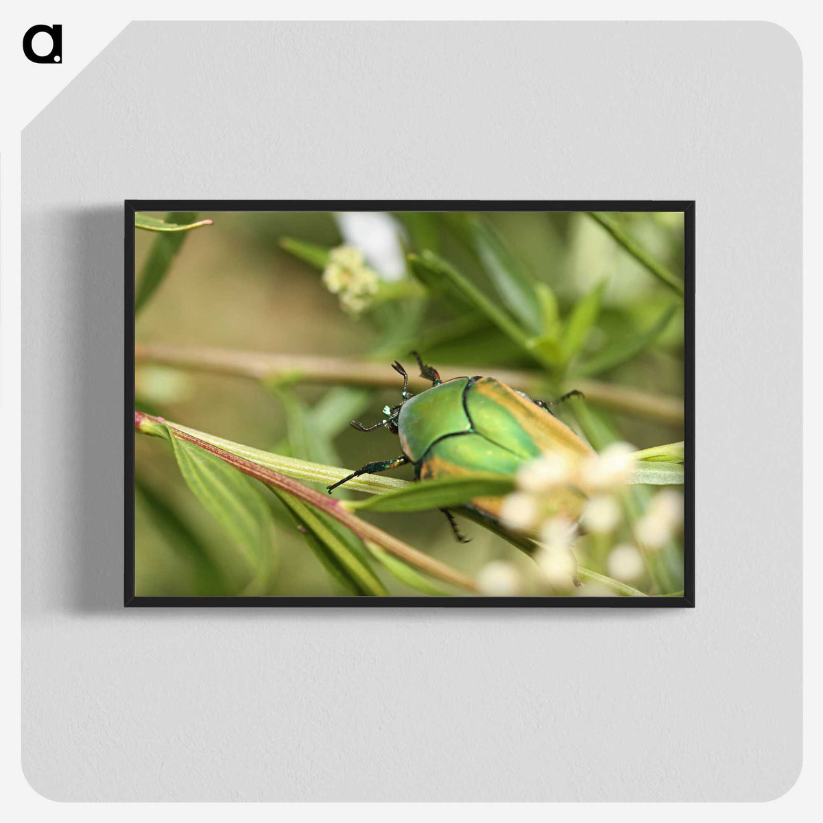 3-1_Insects-Unlocked-Project_blk-crop