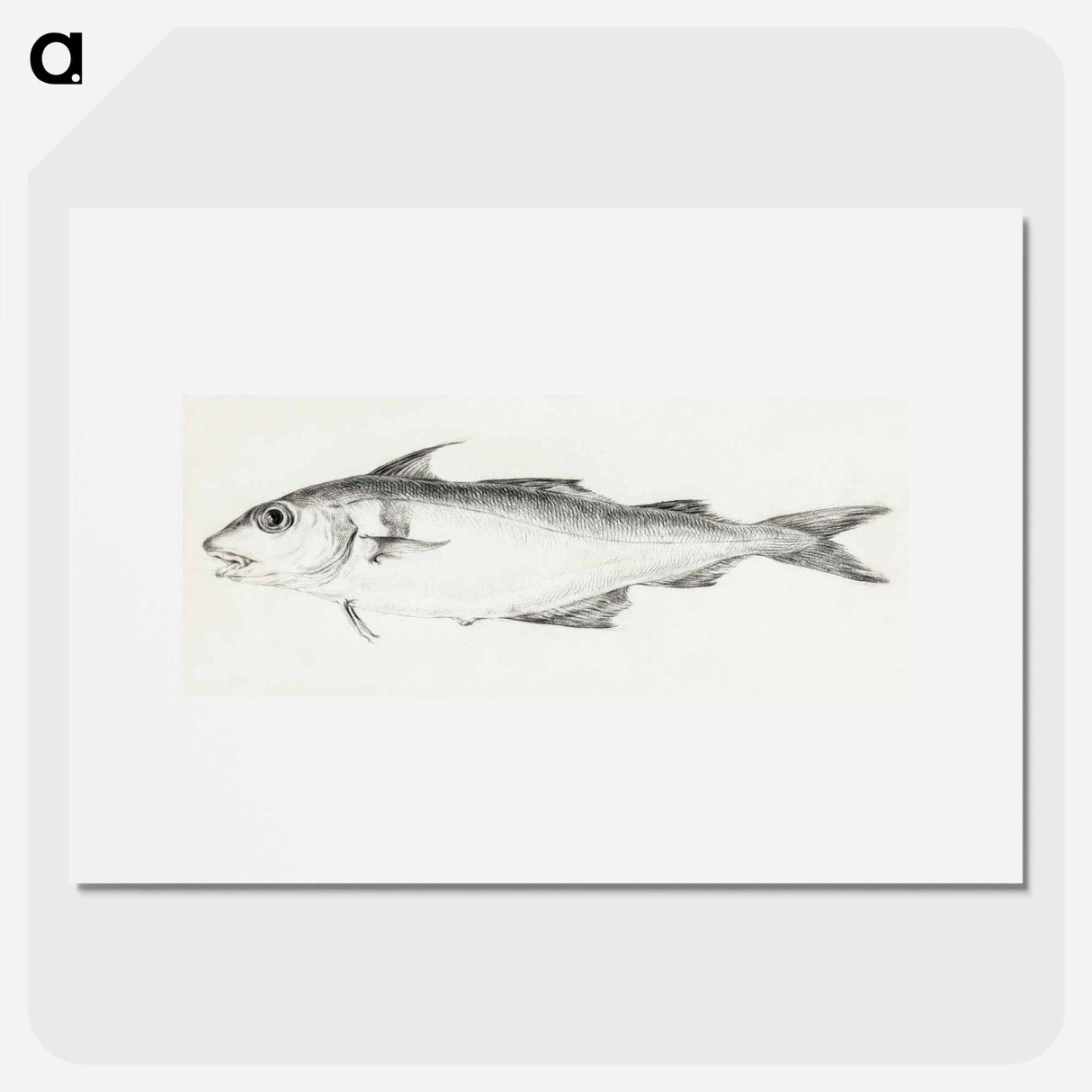 Fish - ジャン ベルナール Poster.