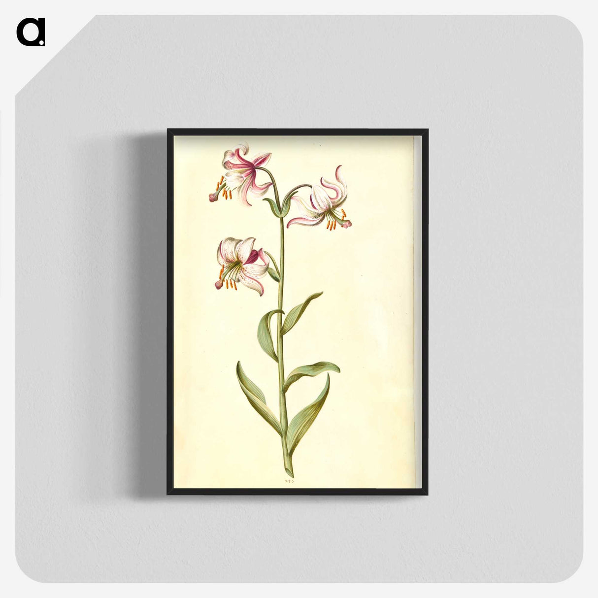3-1_Maria-Sibylla-Merian_blk-crop