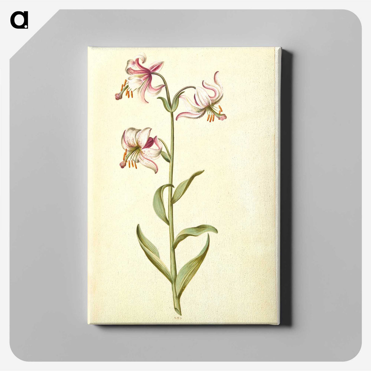 3-1_Maria-Sibylla-Merian_canvas
