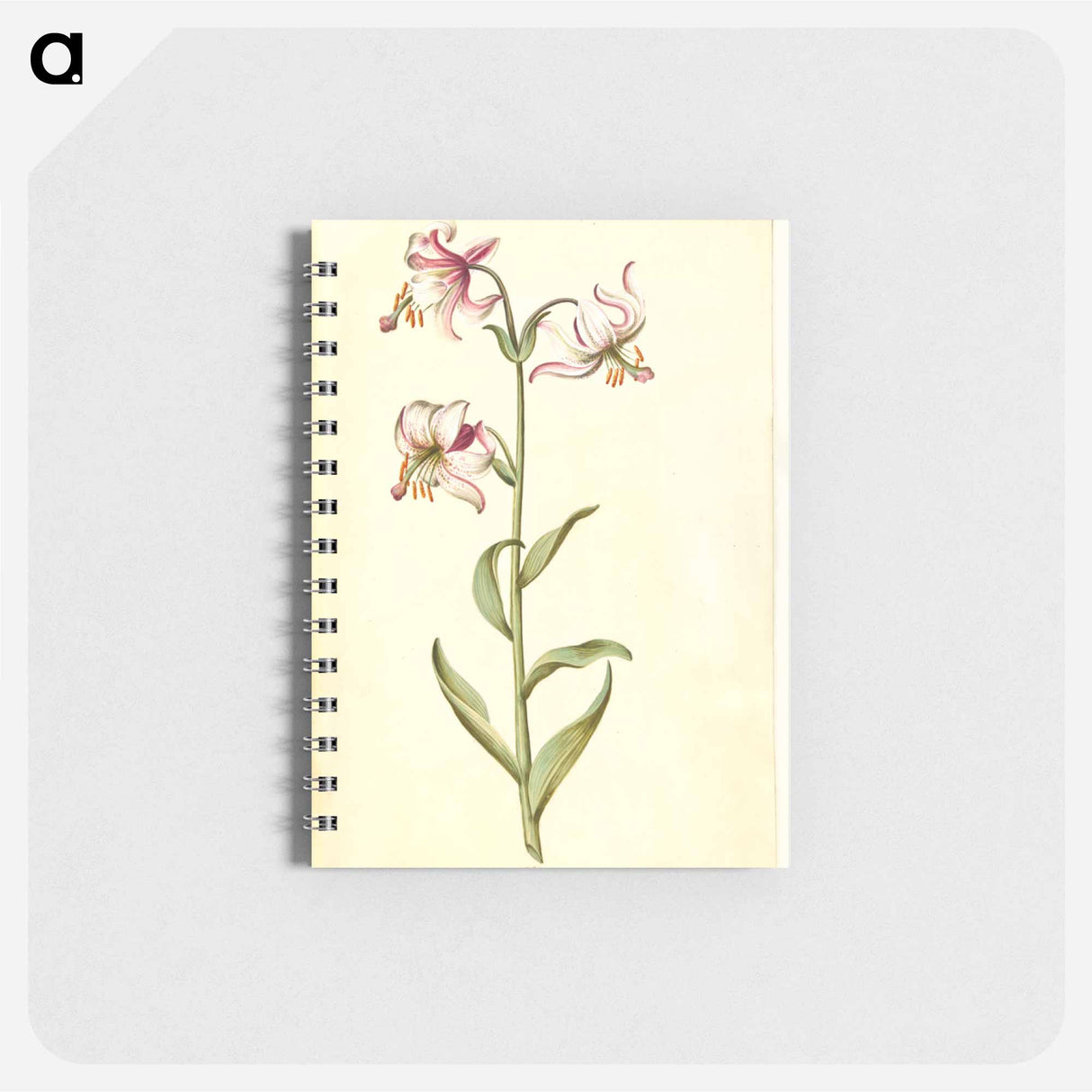アートメモ帳-Lilium Martagon
- マリア ジビーラ メーリアン Memo.