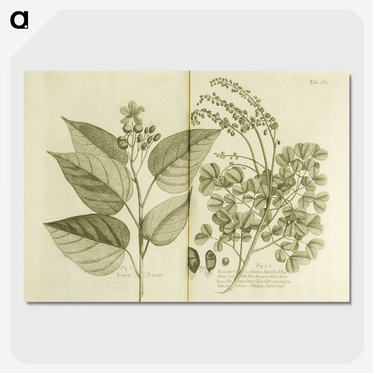 3-1_National-Library-of-Medicine_picture-crop