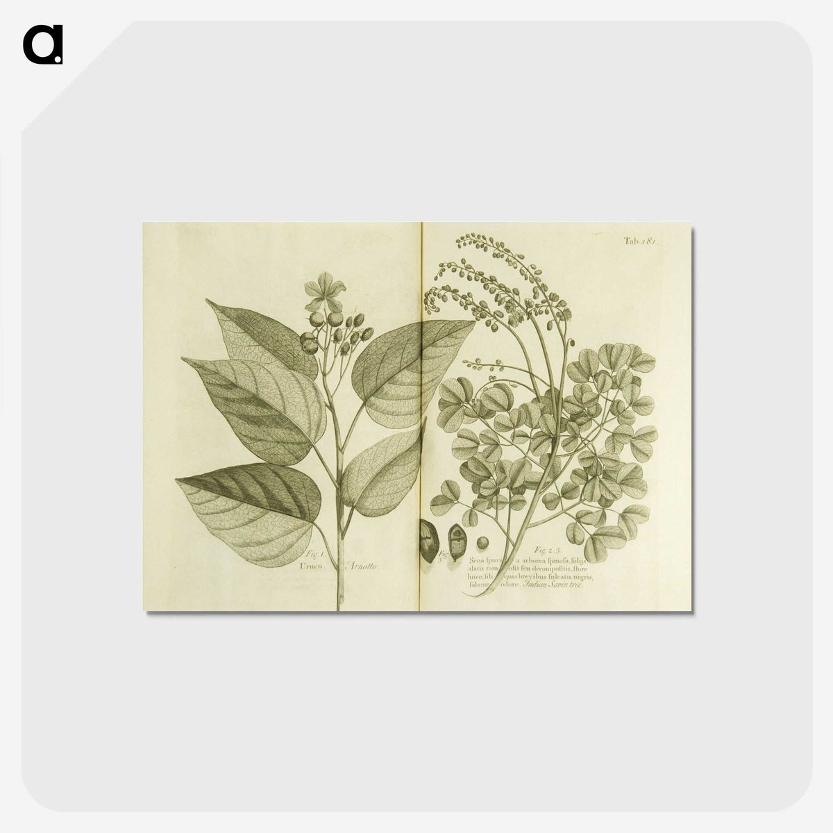 3-1_National-Library-of-Medicine_postcard