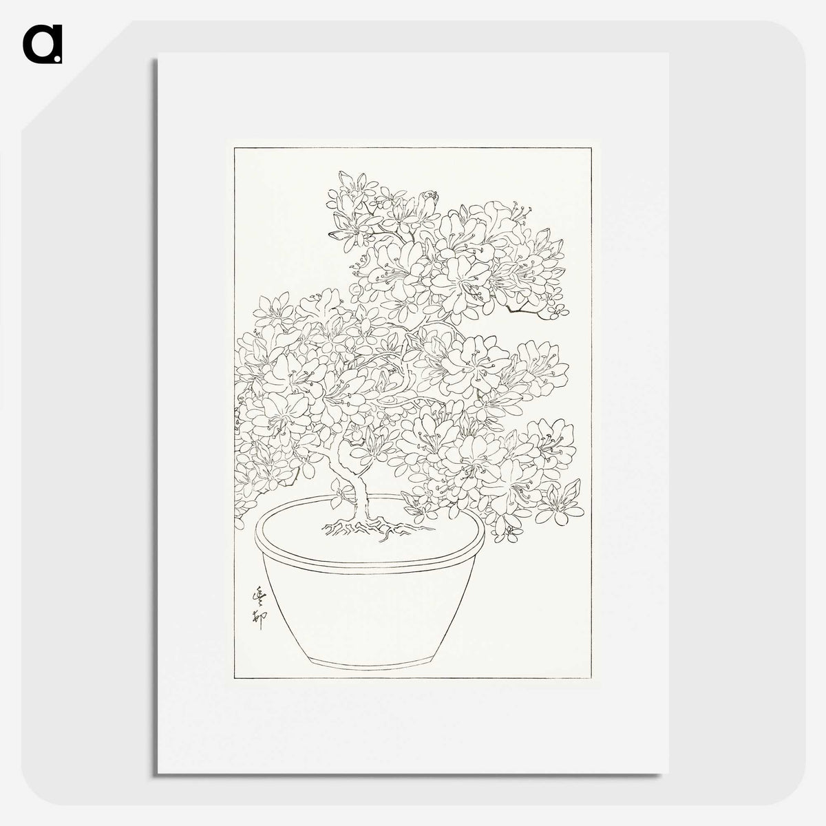 3-1_Ohara-Koson_picture