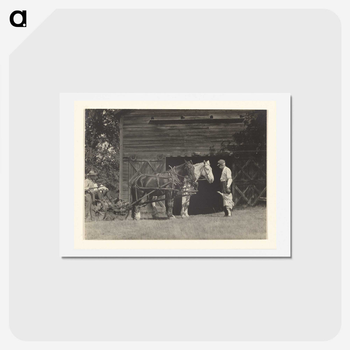 3-20_Alfred-Stieglitz_hagaki