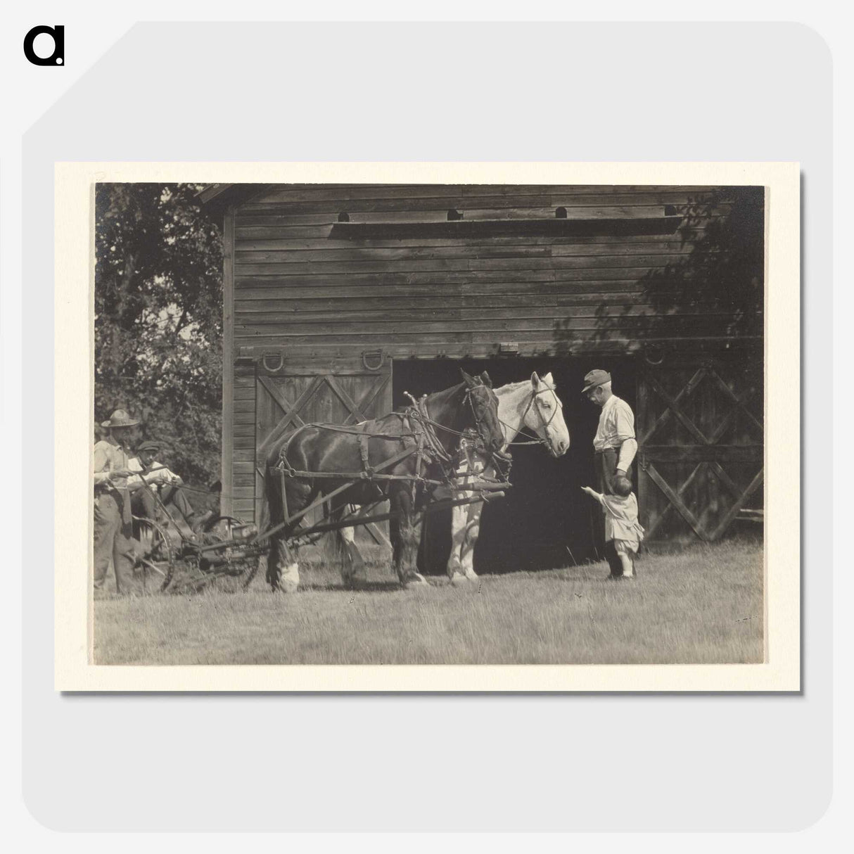3-20_Alfred-Stieglitz_picture-crop
