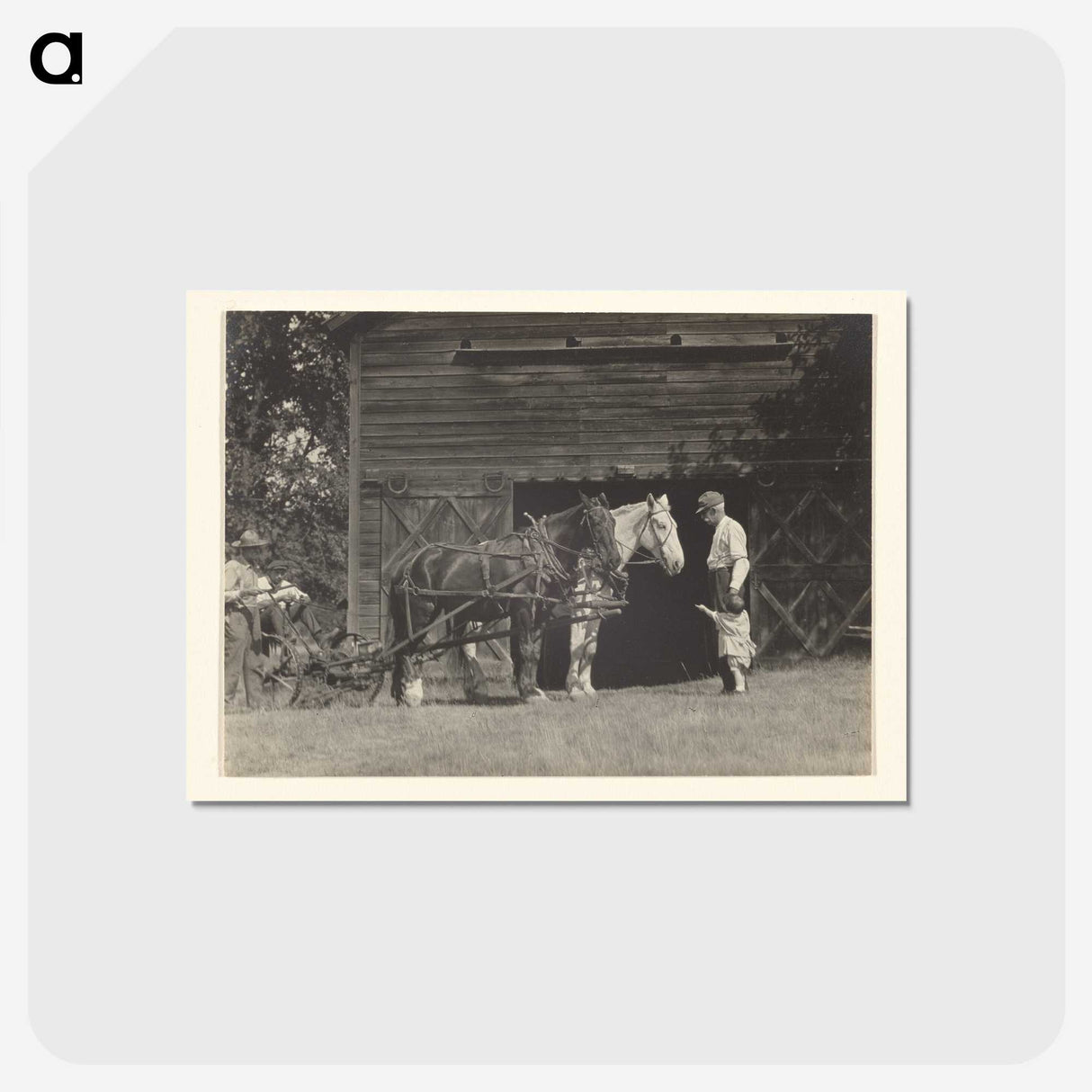 3-20_Alfred-Stieglitz_postcard