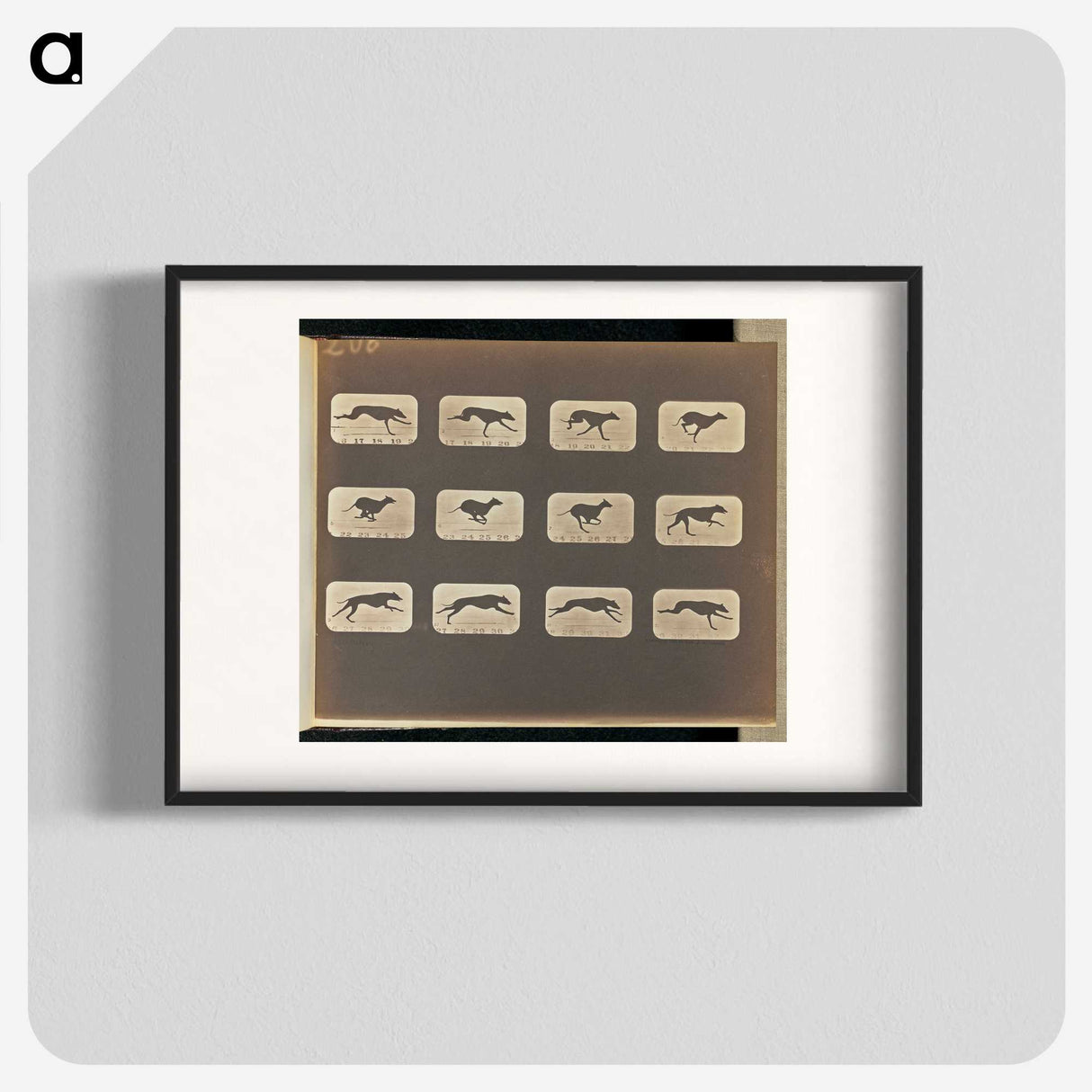 3-20_Eadweard-Muybridge_blk