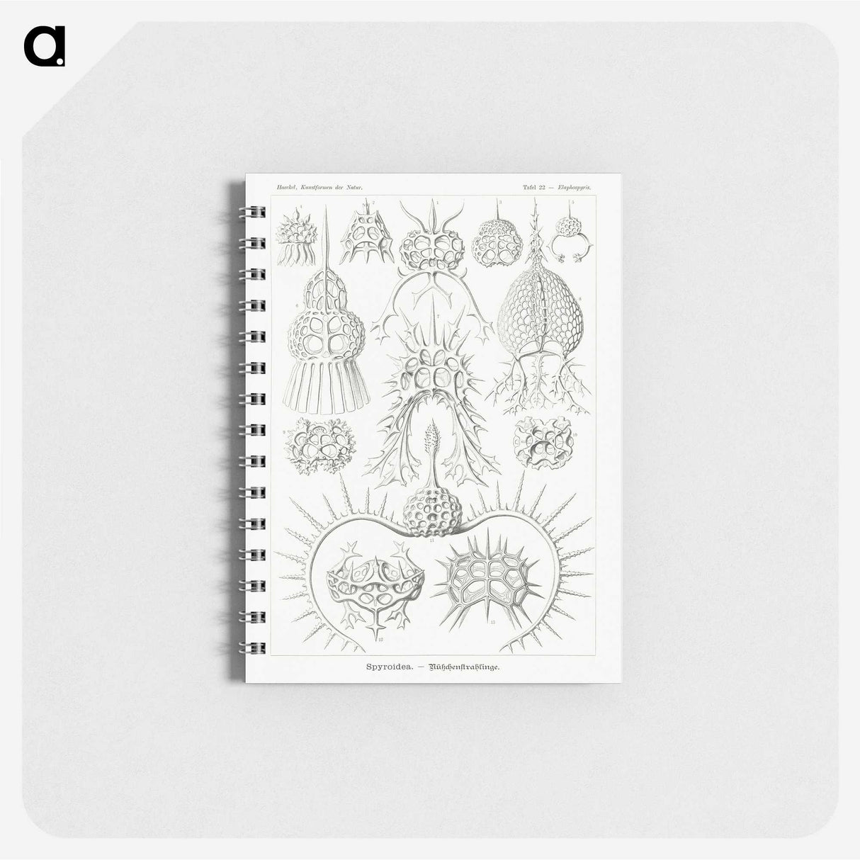 3-20_Ernst-Haeckel_memo